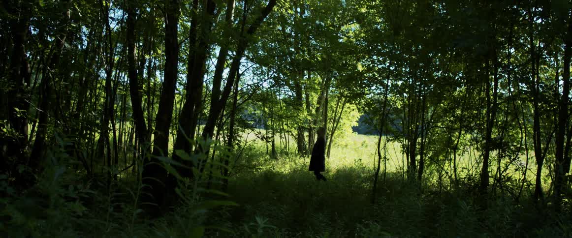 A person is walking in a wooded area in spring
