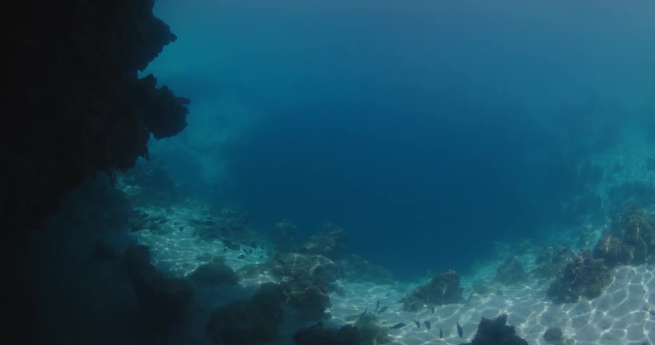 At the entrance of a Blue Hole, fish swim at the bottom of the ocean