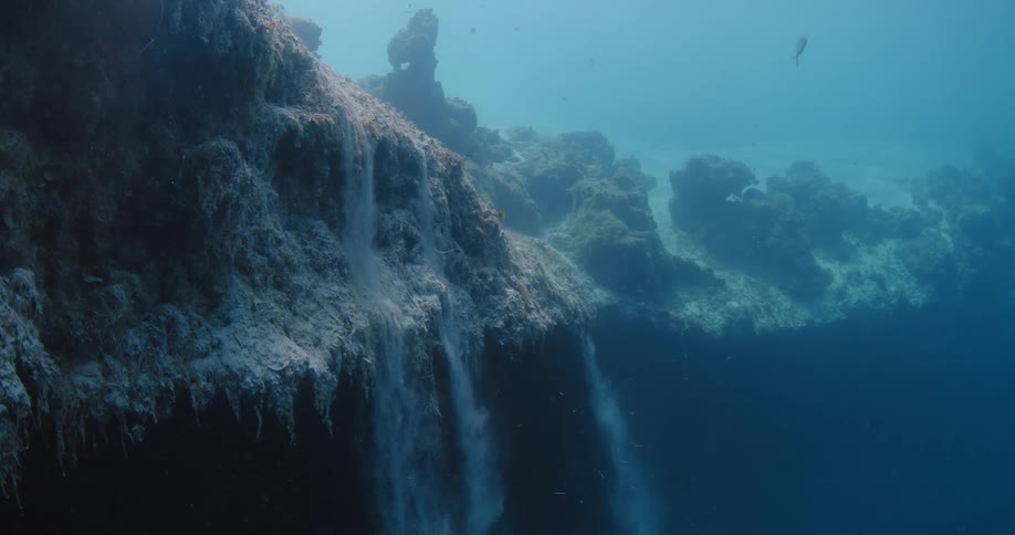 Fish swim near the underwater waterfall