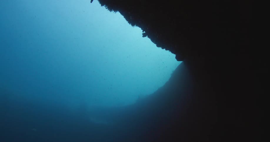 Fish swim along a cavern in the ocean