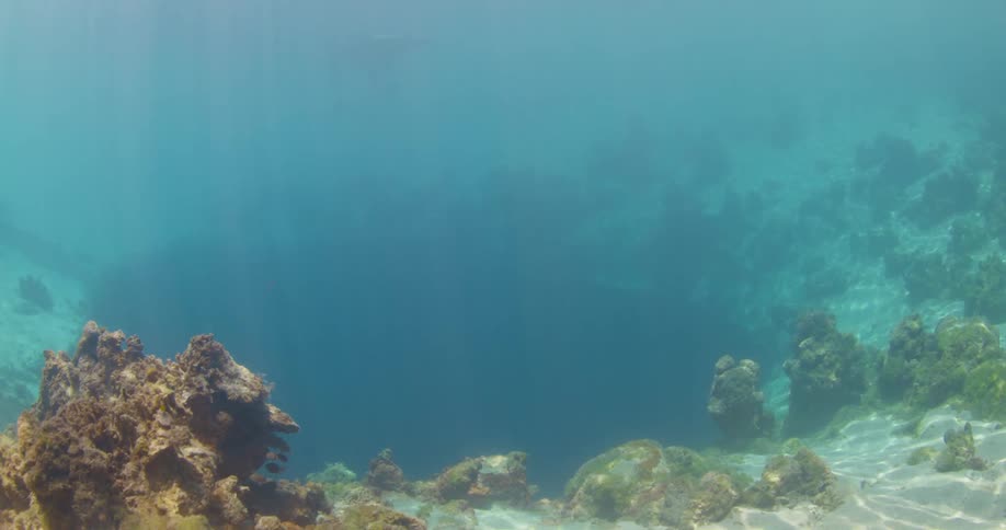 A large cave is located in floor of the ocean and it is lined with many small corals