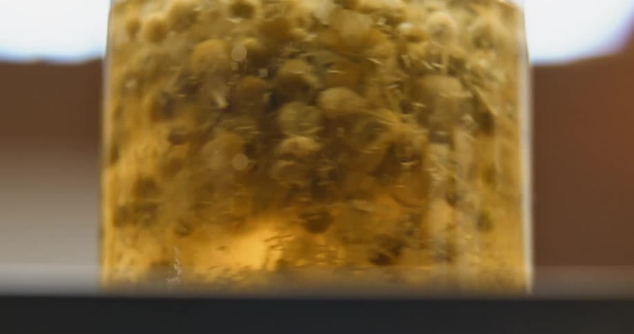 Tea flowers suspended in yellow liquid spinning inside a glass jar