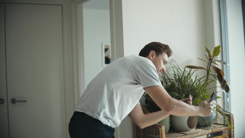 A man poses with his house plants while taking selfies with his smartphone indoors during the day
