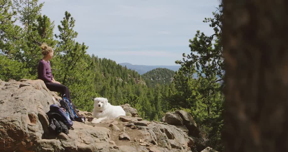 A woman and white dog sitting on rocks while hiking in mountains