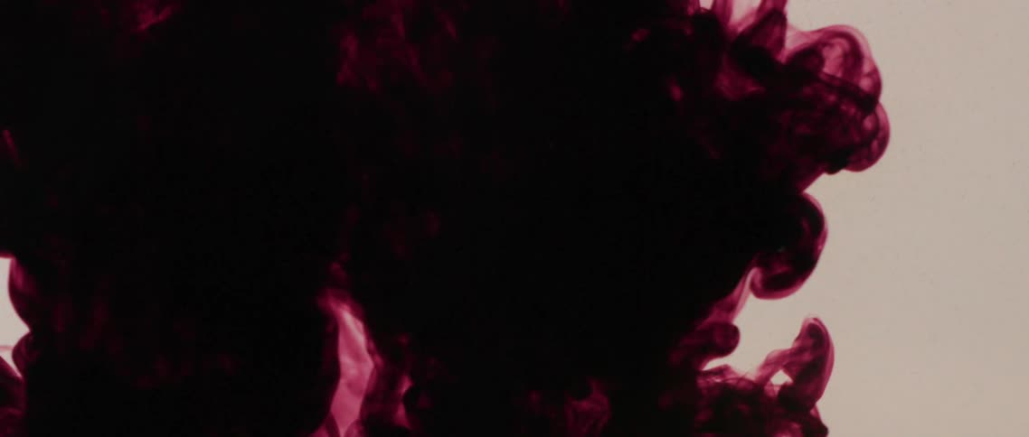 Dark deep crimson and purple ink flowing and swirling down inside a tank of clear water