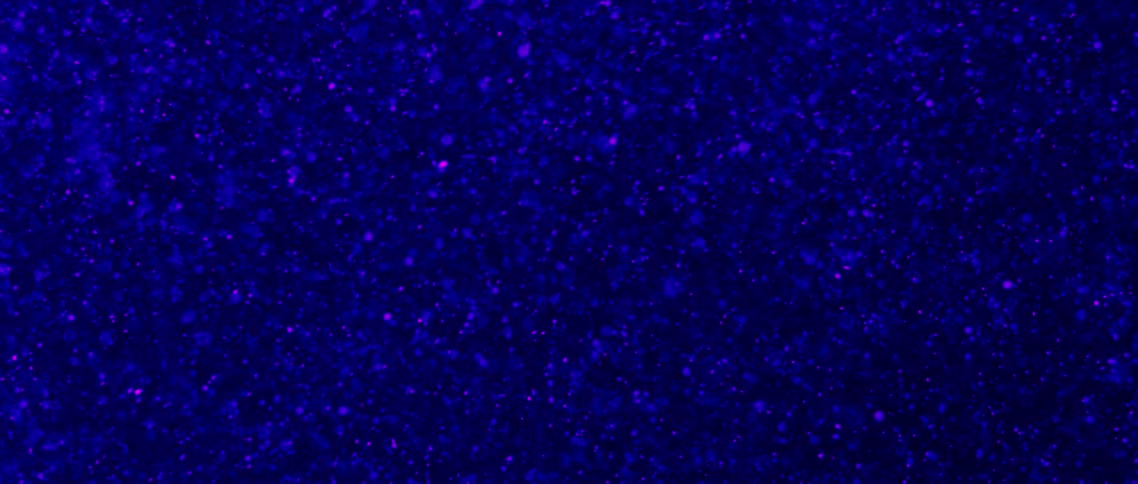 Bright blue and purple particles moving while floating in dark liquid
