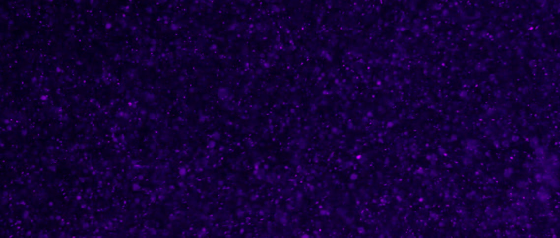 Purple light illuminates the falling snow flakes