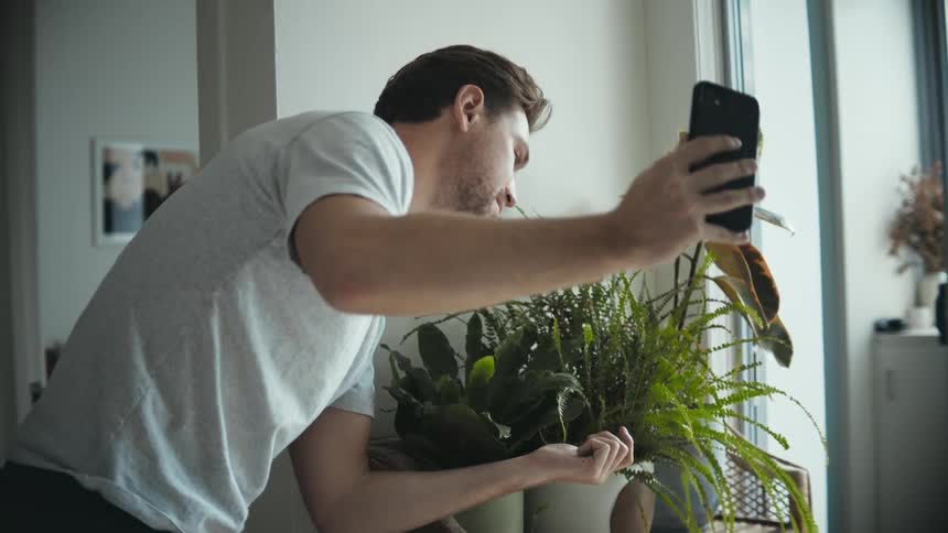 Man showing his house plants on a video smartphone video call