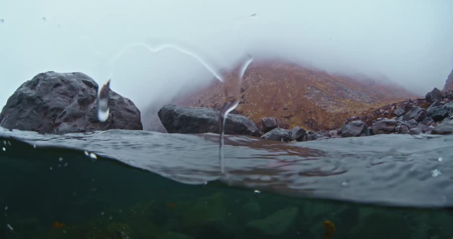 Above and below water surface view of a cove area on a very overcast day