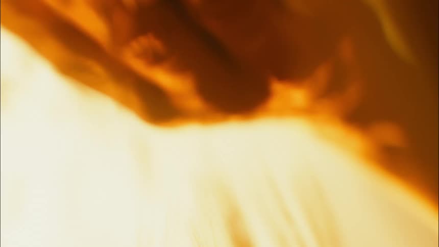 Grains of wheat fall from an open hand
