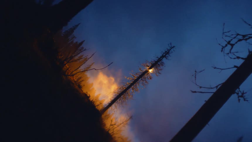 A light moving around in the sky above a forest at night time