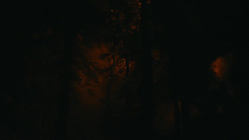 Yellow light eerily floating above the canopy of a forest at night