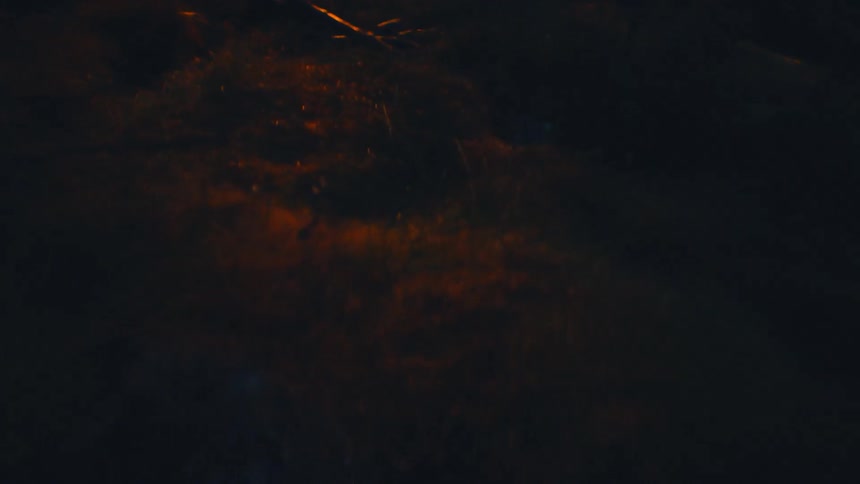 Eerie yellow lights sweeping over the forest floor at night