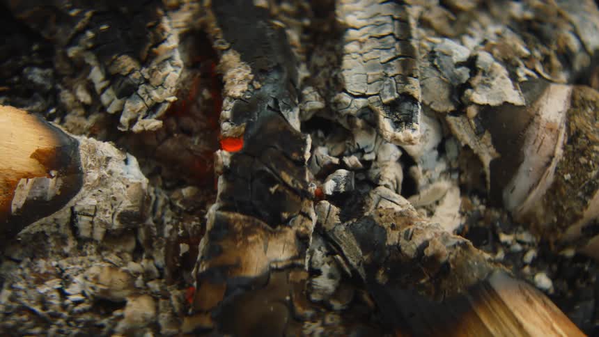 A view of wood in a forest smoldering outdoors