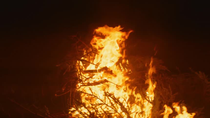 A fire burns in a pile of vegetation at night