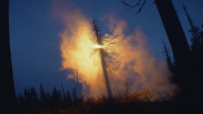 A forest with trees and smoke with the sky and clouds in the background