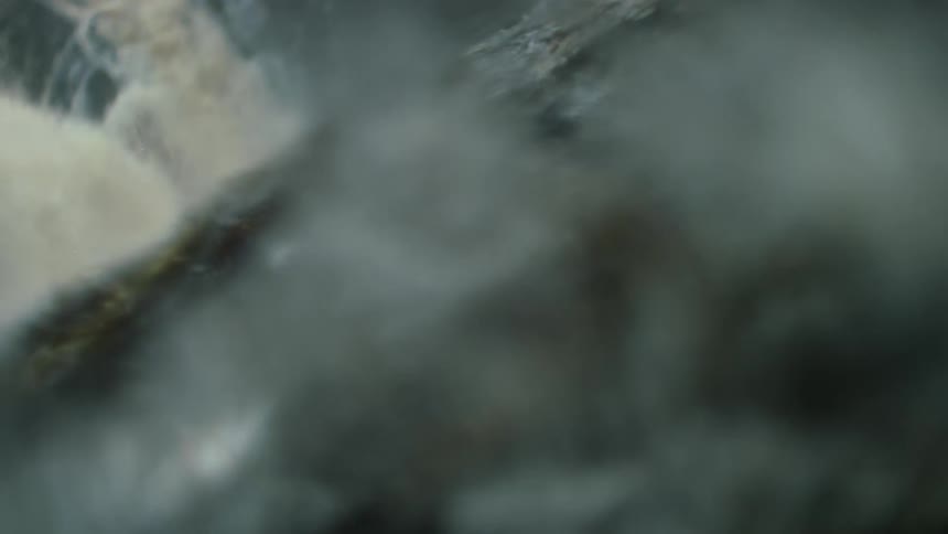 Turbulent flow of a wild river near a waterfall