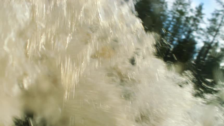 Waves in a river with the forest in the background