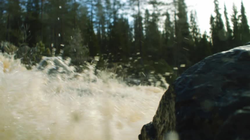 River water crashes onto a boulder in a forest