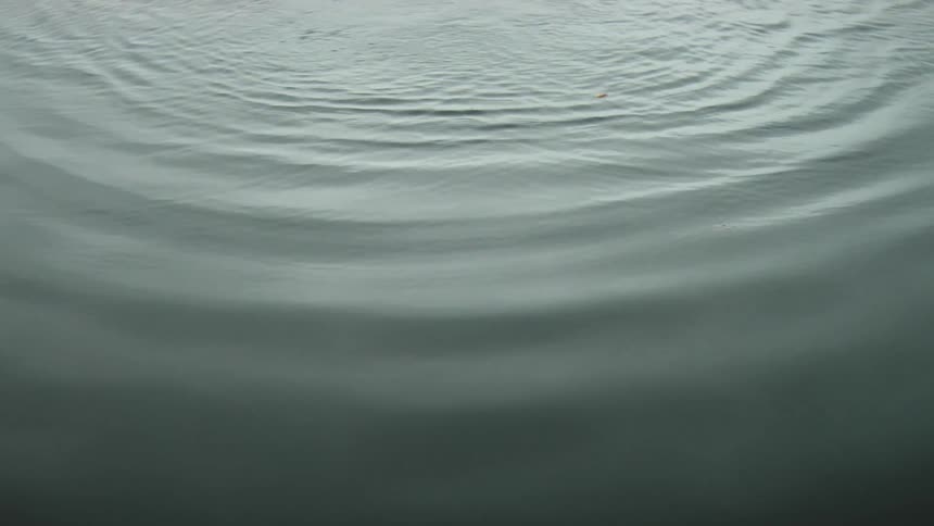 A body of water with water rippling with light reflecting off of it