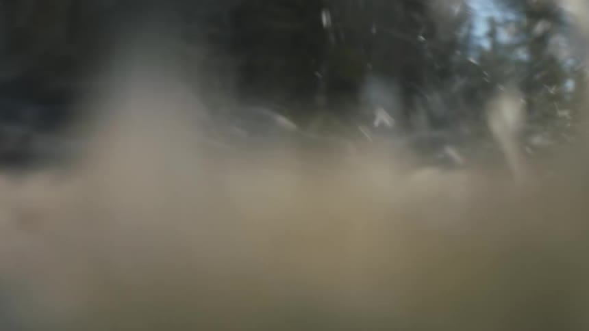 Muddy water flows down river rapids passing through forest