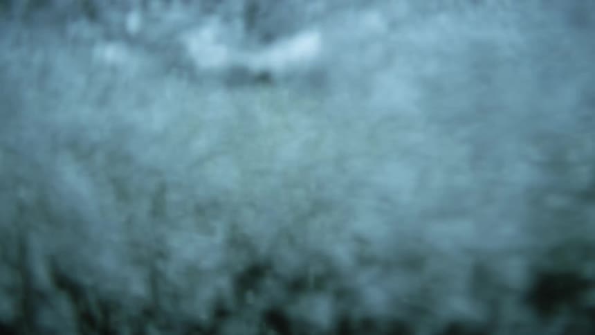 The water is rushing in the stream