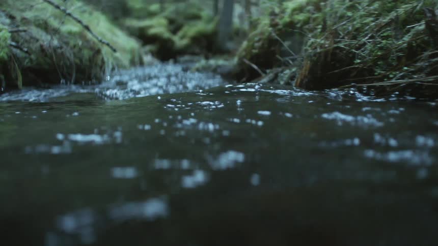 A stream of water flows along and is lined by grass covered banks