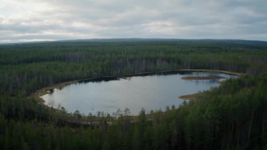 Aerial view of a small lake in the middle of a pine tree forest