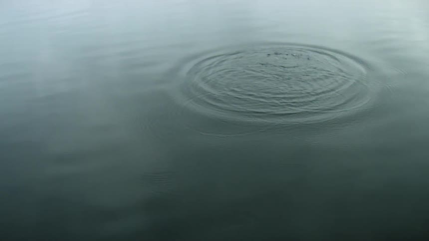 Stone is thrown into water with very small wind waves causing expanding circle of ripples