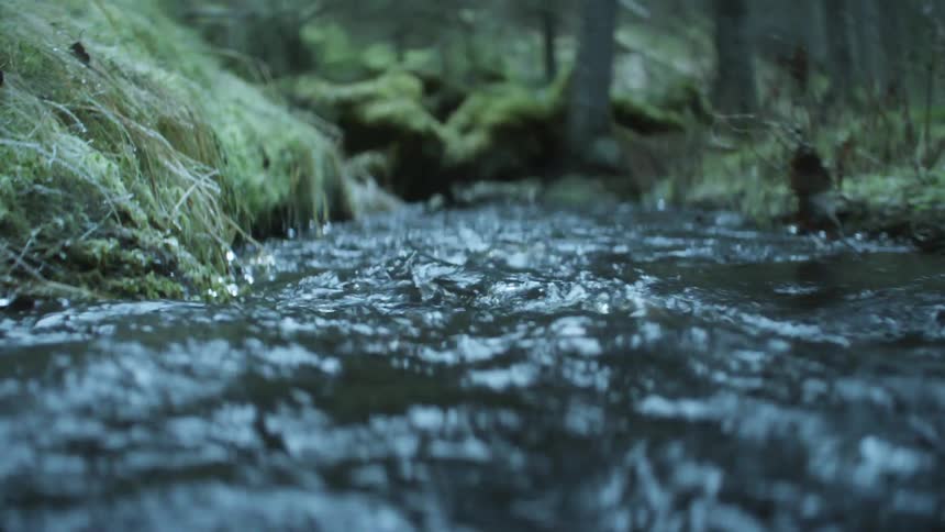 Water reflects light while flowing through wilderness between vegetation covered banks