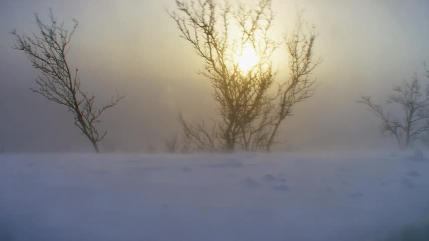 A field covered in snow in a blizzard with trees the sky and clouds in the background