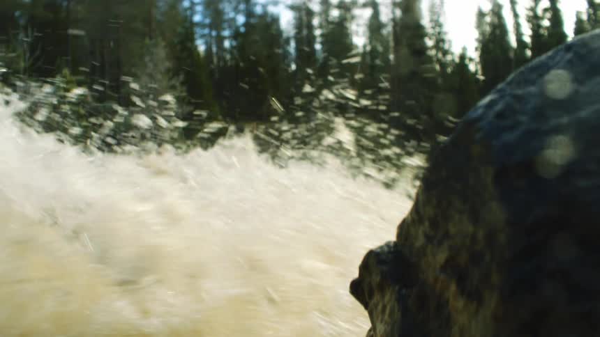A view of a river rushing in a forest
