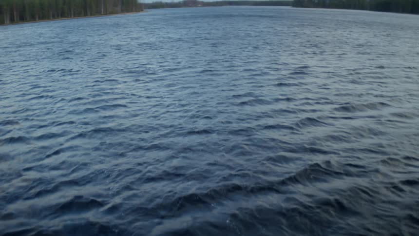 Waves ripple across a lake with a forest in the distance