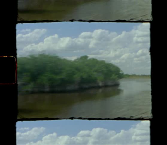 A boat speeds around an island in a river