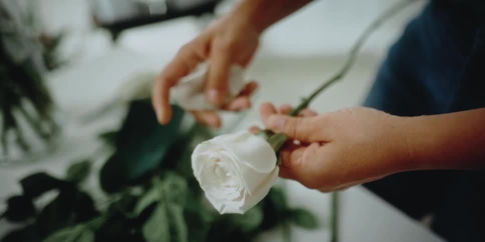 A female florist carefully removes a few petals from a white rose