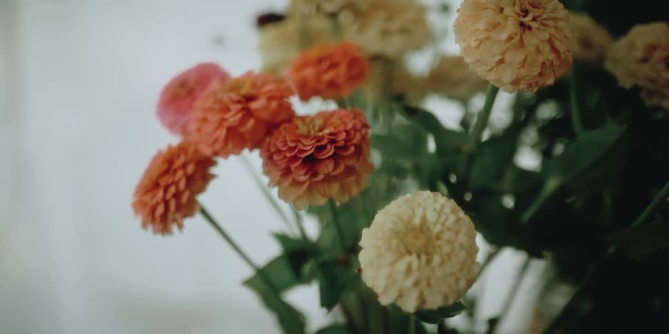 A flower arrangement in a room with a wall in the background