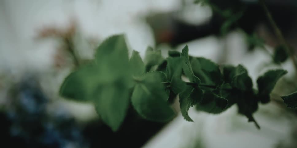 A lush flower stem sticks out from a flower arrangement