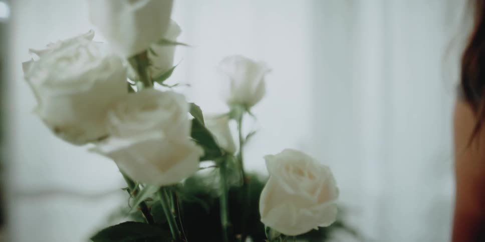Woman places scissors on a table and adds a long stemmed white rose to a vase containing additional white roses