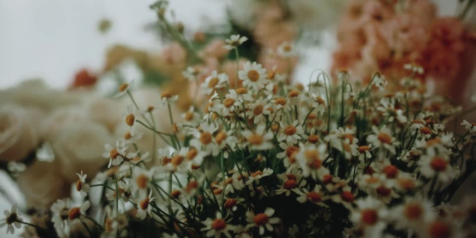 Bouquet of white roses and daisies sit with other bouquets behind them