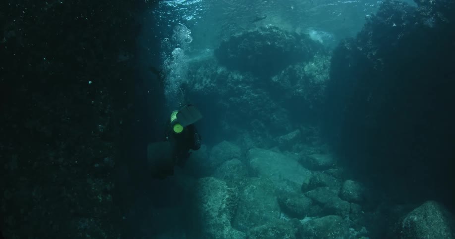 A diver swims towards some rocks with seals swimming around