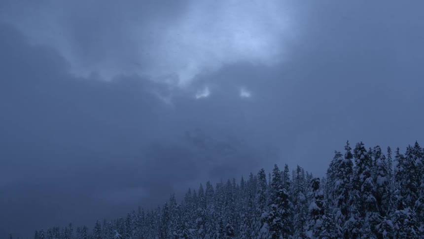 Heavy snow falls over a mountain forest under a cloudy winter sky