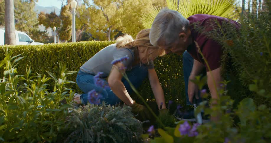 Couple work together planting flowers in garden with mountains in distance
