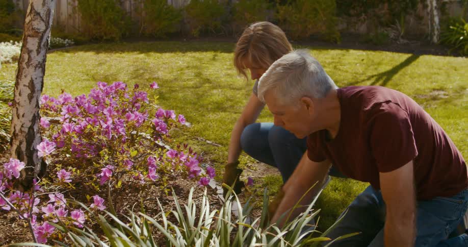 Husband and wife and planting flowers in a garden