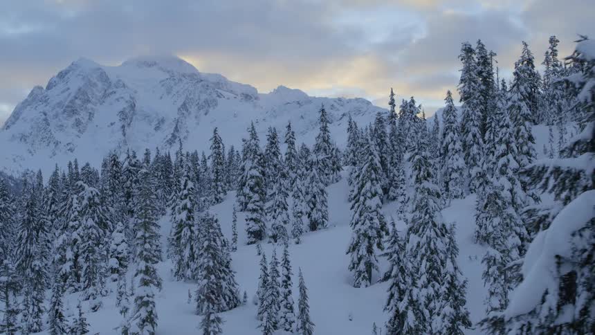 Slow traverse along the treetops of a snowy mountain forest under a dramatic winter sky