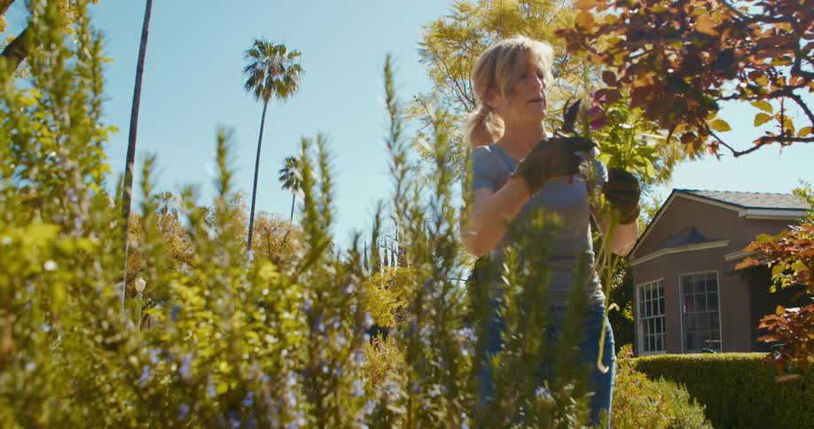Woman tending plants on her garden in the backyard at home