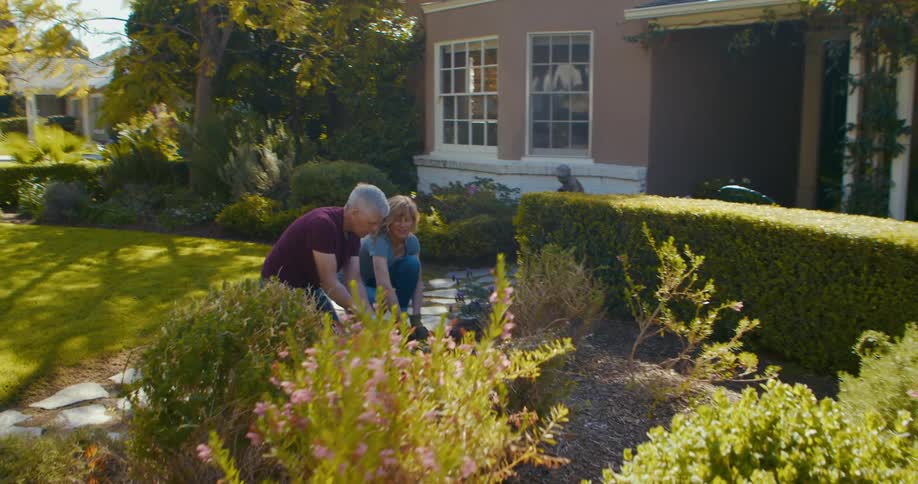 Husband and wife are planting in their garden