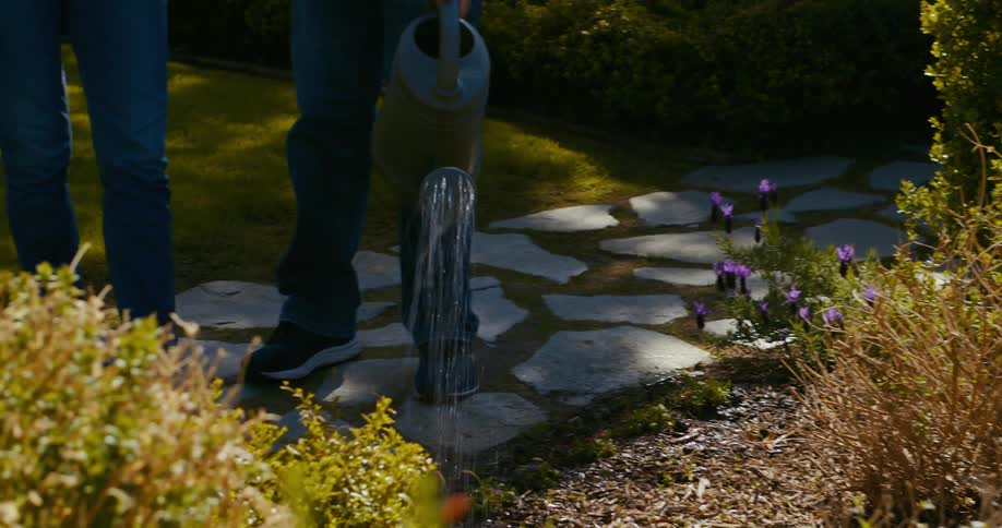 A person is watering plants in his garden