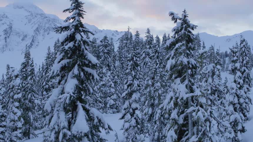 Flying thru a tranquil and snowy forest to reveal a beautiful mountain ridge under a stunning painted sky
