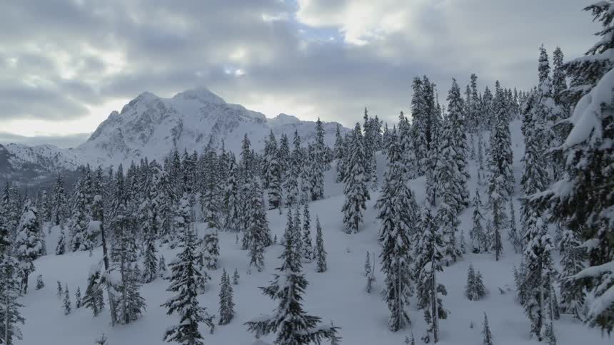 A beautiful mountain towers above a serene forest blanketed with heavy snow