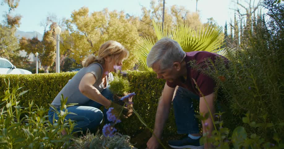 Older couple work together in yard gardening with mountains visible in distance